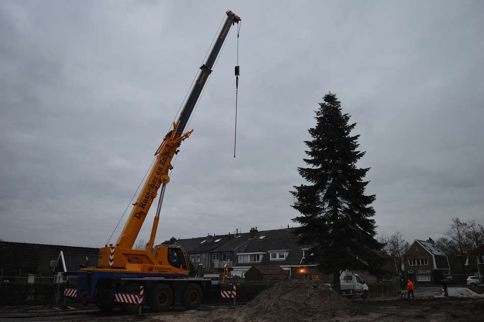 Kerstboom uit Ittersum op Grote Markt