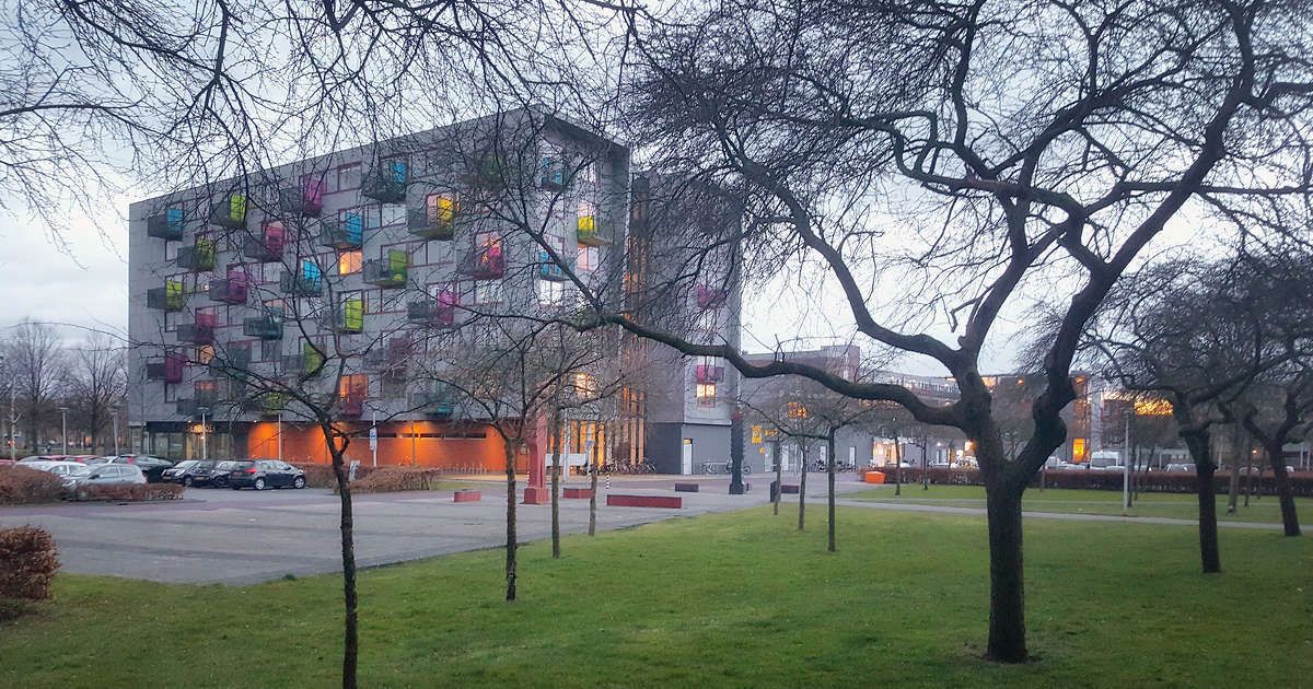 Het weer: In de loop van de ochtend een beetje zon - 1Zwolle