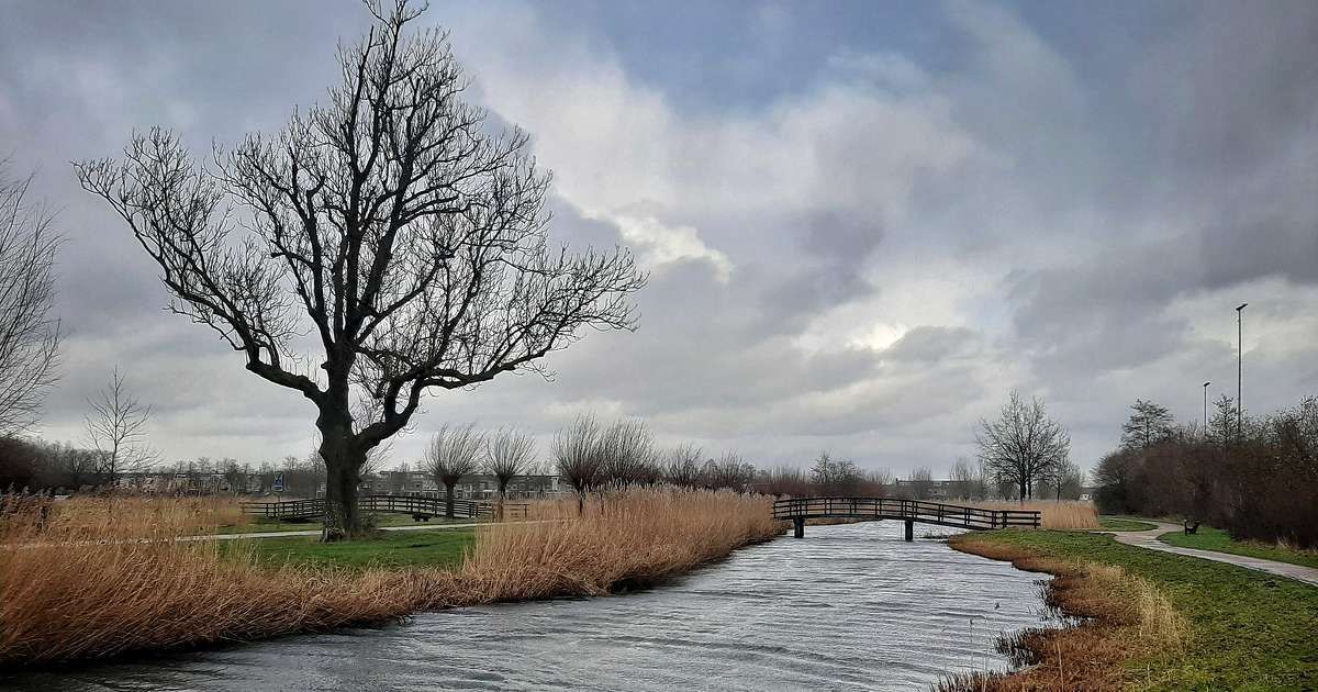 Het weer: Harde wind en hoge temperatuur, nat in de ochtend - 1Zwolle