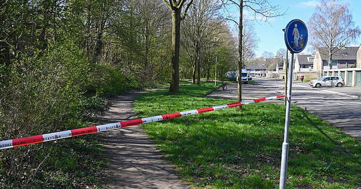 Zwollenaar aangehouden voor geweld en mogelijk zedenmisdrijf Aa-landen