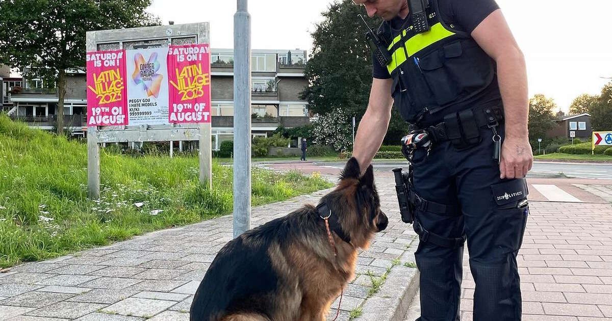 Gevonden herdershond in Aa-landen na dagen herenigd met baasje