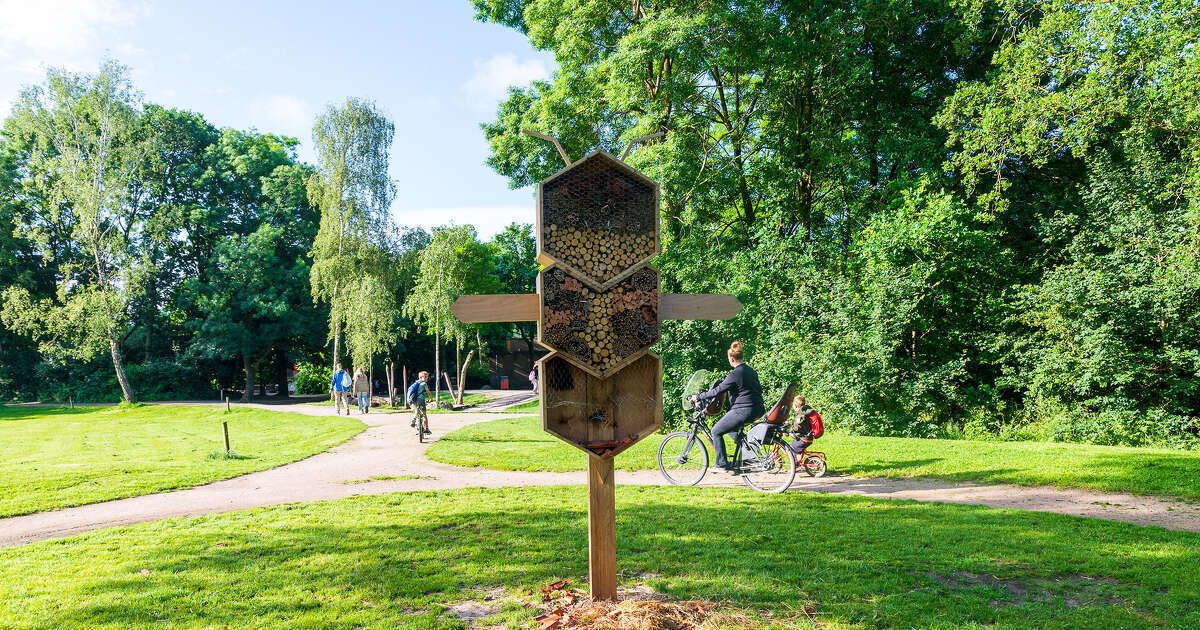 Straatterreur teistert Aa-landen, zelfs insectenhotel van kinderen gesloopt