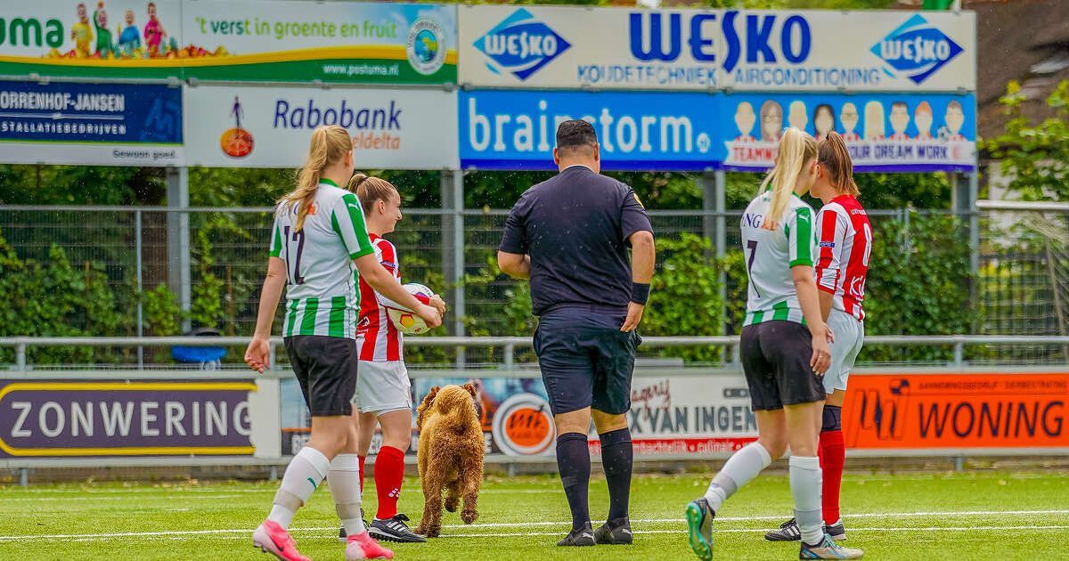 In beeld: Hond zorgt voor afleiding in IJsselmuiden, Genemuiden voor de goals