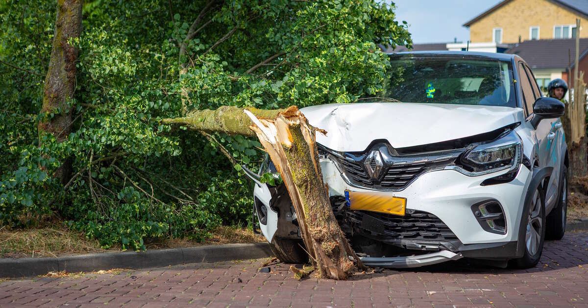 Automobilist ramt boom in Zwolle, auto zwaar beschadigd