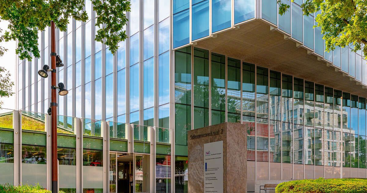 OM wil tbs van Zwollenaar (36) verlengen na ernstig huiselijk geweld