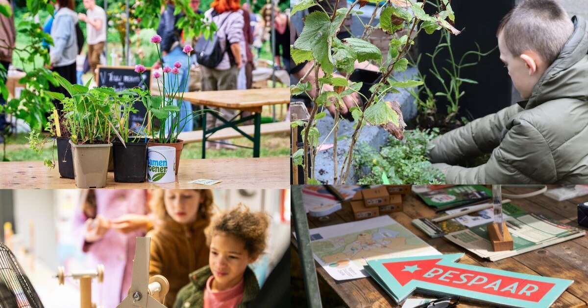 Groenstof Festival brengt duurzame initiatieven samen: “Zwolle bruist van de positieve energie”