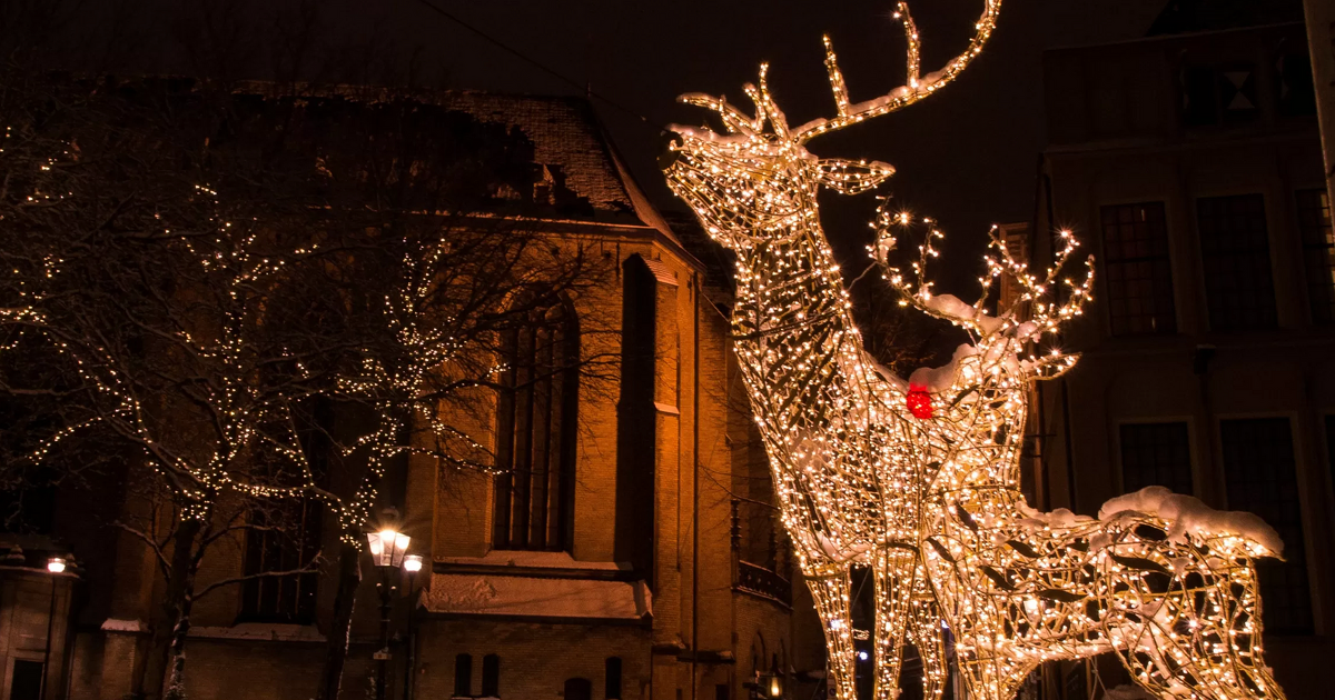 Ook dit jaar weer lichtbeeldenroute in Zwolle.