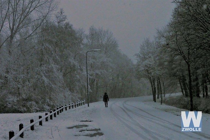 Zwolle trotseert winterweer - Foto: Ellen la Faille