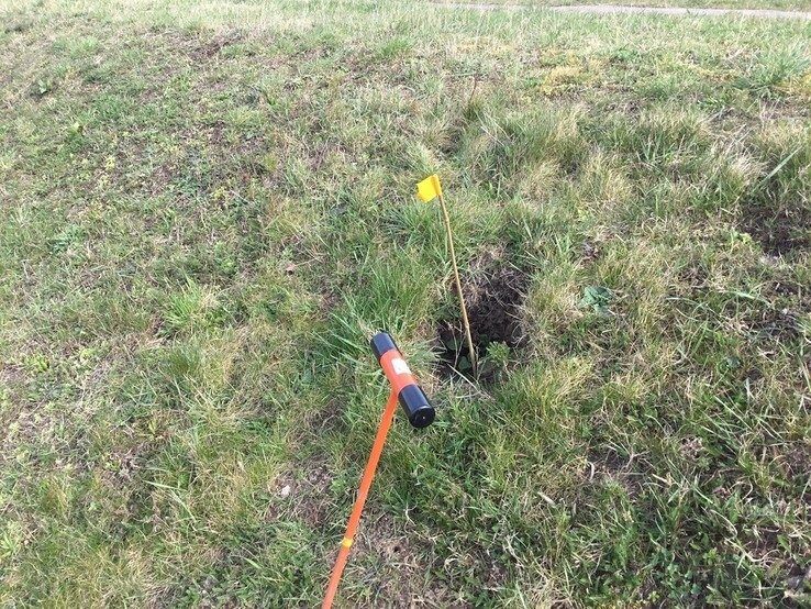 Meer schade aan dijken door voertuigen en gravende honden, minder door muskusratten - Foto: Ingezonden foto