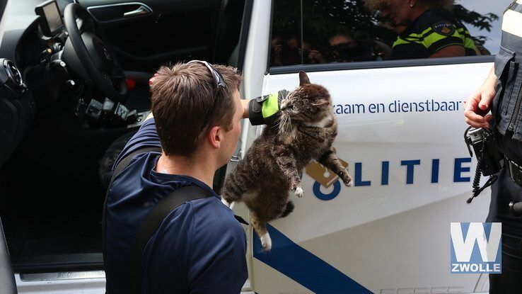 Brandweer redt kat bij woningbrand Hoogstraat Zwolle - Foto: Arjen van der Zee
