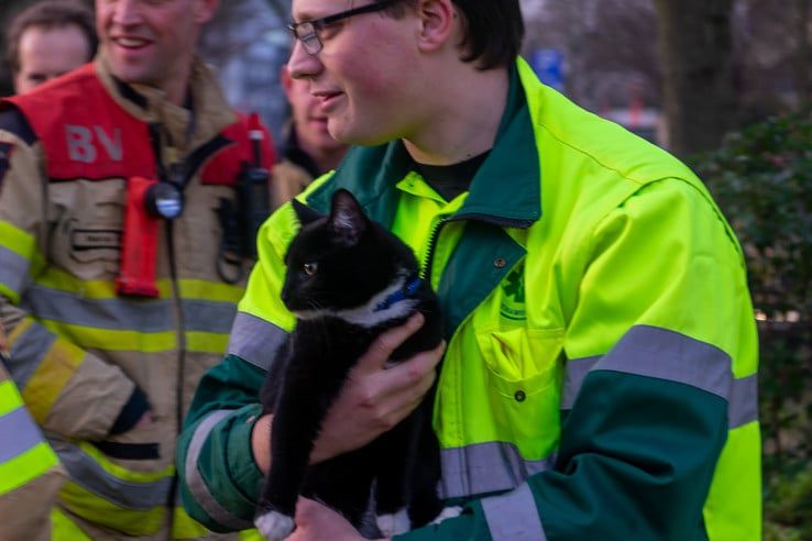 Zwolse brandweer bevrijdt Kampense kat in het nauw - Foto: Peter Denekamp
