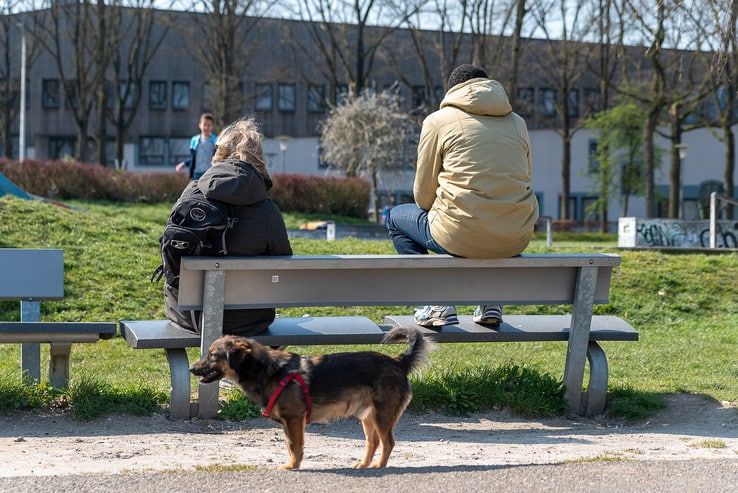 Samenscholen en contactsport verboden in Zwolse parken - Foto: Peter Denekamp