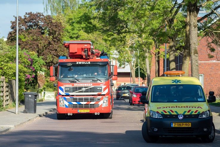 Brandweer redt spreeuw in Holtenbroek - Foto: Peter Denekamp