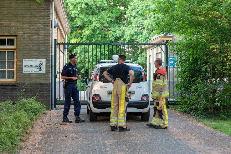 Brandweer redt jonge kraai in Diezerpoort - Foto: Peter Denekamp