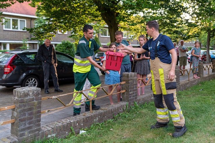 Brandweer redt jonge kraai in Diezerpoort - Foto: Peter Denekamp