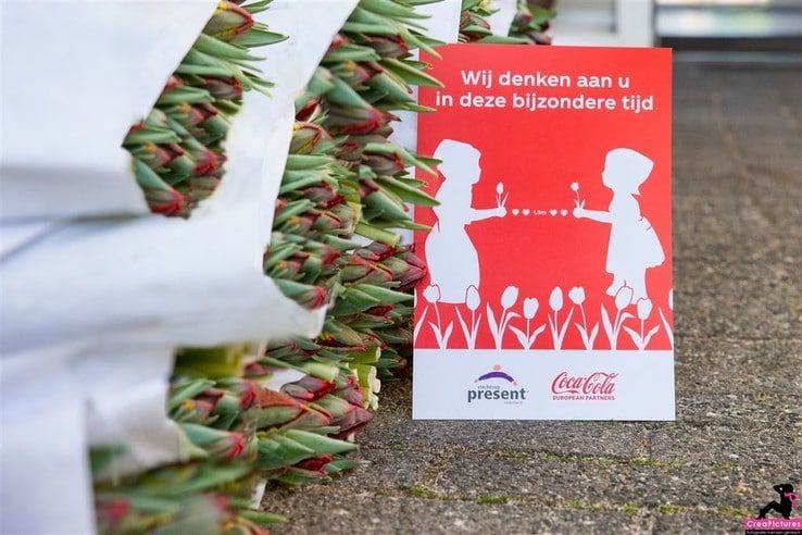 Stichting Present bezorgt 6.000 tulpen bij maatschappelijke organisaties in Zwolle - Foto: Carry Premsela