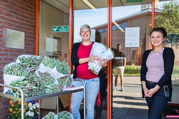 Stichting Present bezorgt 6.000 tulpen bij maatschappelijke organisaties in Zwolle - Foto: Carry Premsela