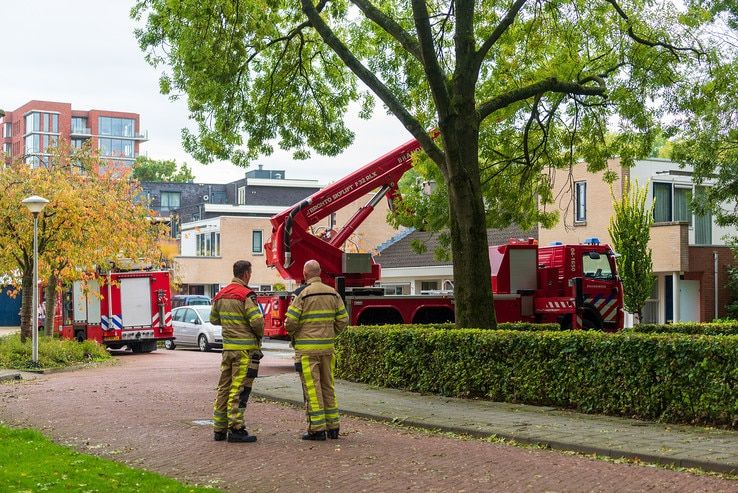 Brandweer verwijdert gevaarlijke tak in Zwolle-Zuid - Foto: Peter Denekamp