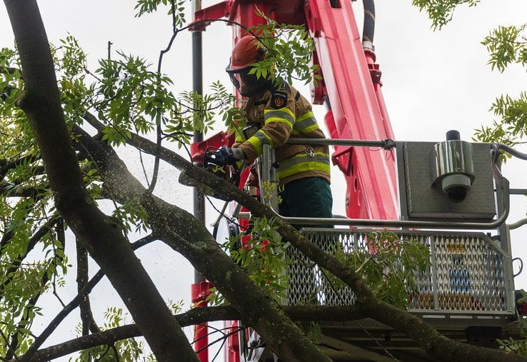Brandweer verwijdert gevaarlijke tak in Zwolle-Zuid - Foto: Peter Denekamp