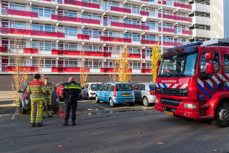 Autobrand in kiem gesmoord in Holtenbroek - Foto: Peter Denekamp