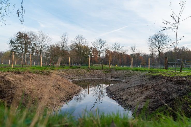 Groenste wijk van Zwolle wordt nog groener dankzij Wijkboerderij de Eemhoeve - Foto: Peter Denekamp