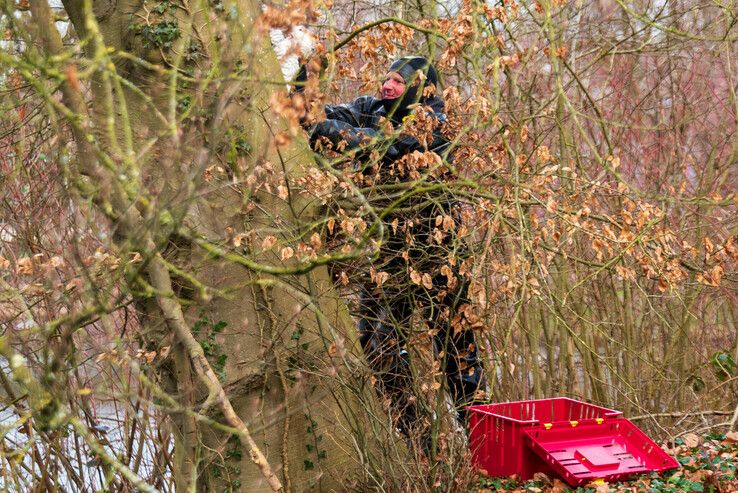 Brandweer Zwolle redt kat van onbewoond eiland - Foto: Peter Denekamp