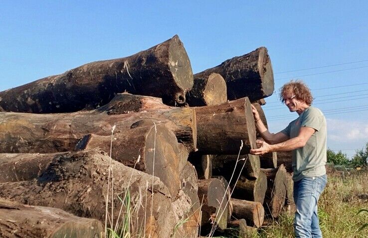 Zwolse houtkunstenaar Otten takelt unieke bomen uit het water - Foto: Ingezonden foto