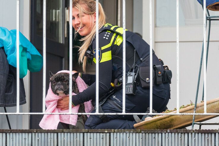 Vrouw naar ziekenhuis na redding hondje uit Zwarte Water - Foto: Peter Denekamp
