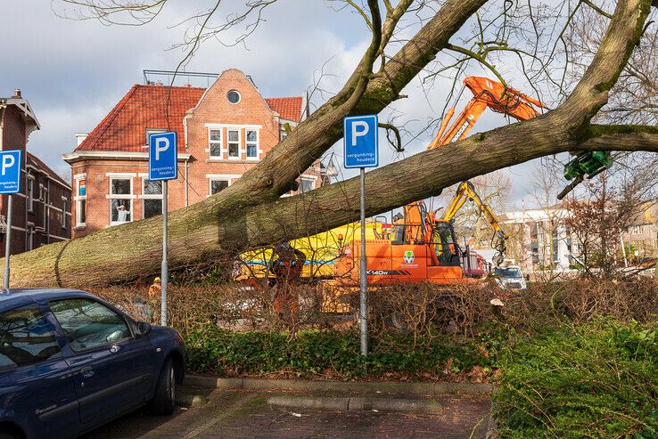 Storm Eunice heeft flink huis gehouden in Zwolle - Foto: Peter Denekamp