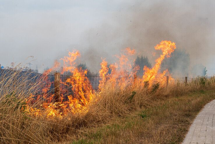 Brandweer rukt massaal uit om branden op dijk langs de Vecht te bestrijden - Foto: Peter Denekamp