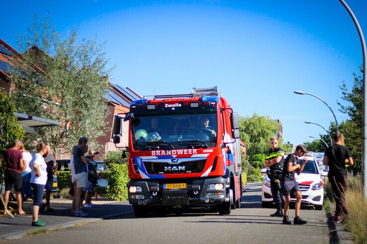 Vuurwerk veroorzaakt bermbrand in Stadshagen - Foto: Ruben Meinten