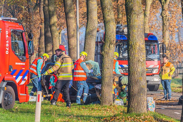 Automobiliste zwaargewond bij botsing tegen boom op Wijheseweg - Foto: Peter Denekamp