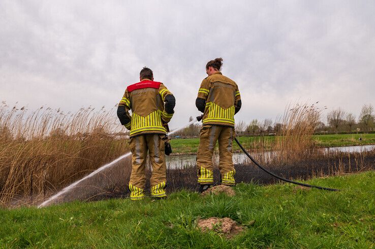 Voetballers ZAC ontdekken flinke rietbrand in Zwolle-Zuid - Foto: Peter Denekamp