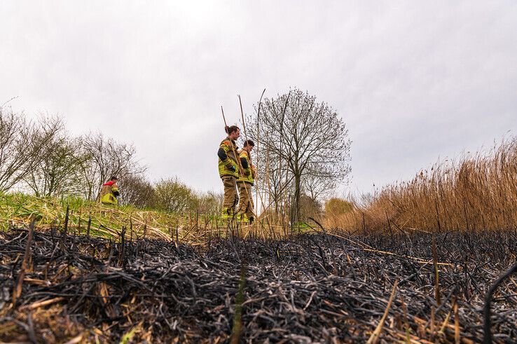 Voetballers ZAC ontdekken flinke rietbrand in Zwolle-Zuid - Foto: Peter Denekamp