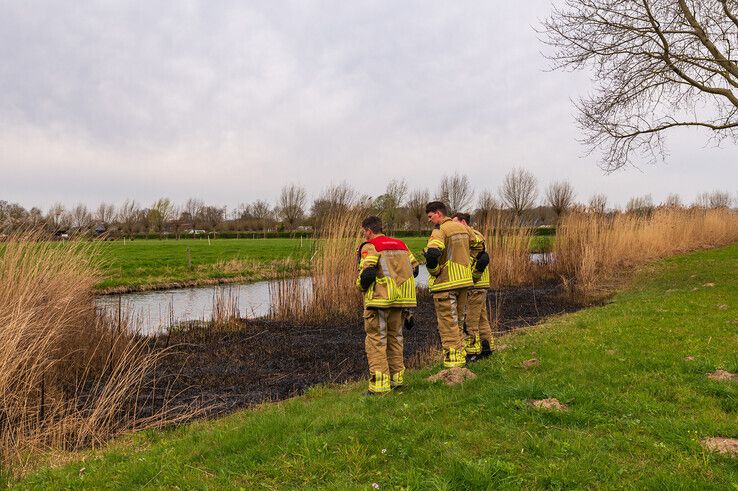 Voetballers ZAC ontdekken flinke rietbrand in Zwolle-Zuid - Foto: Peter Denekamp