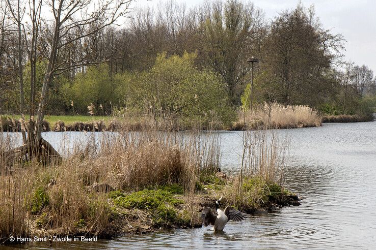 Wijde Aa - Foto: Hans Smit