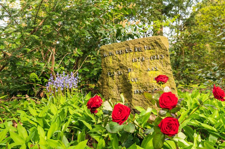 Rode rozen bij het graf van Gerardus Horreüs de Haas op de Dag van de Arbeid. - Foto: Peter Denekamp