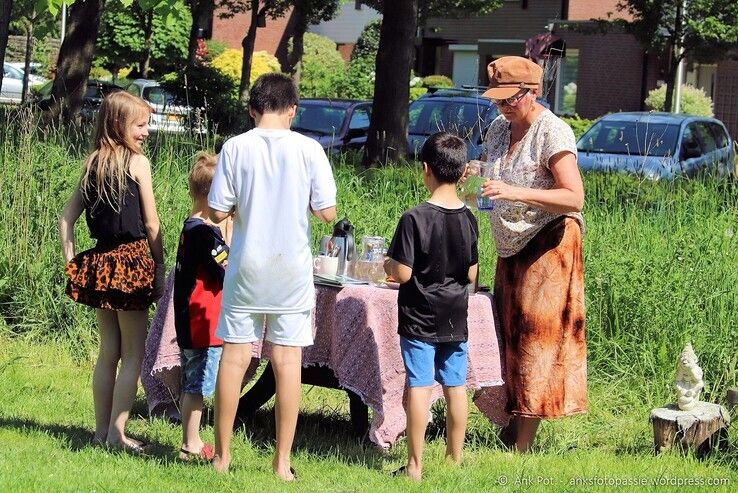 In beeld: Met trekkers en strobalen zorgen artiesten voor een vrolijke noot in Zwolse wijken - Foto: Ank Pot