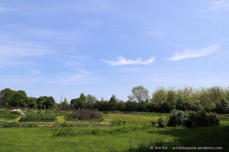 Pluktuin Dijklandhoeve - Foto: Ank Pot