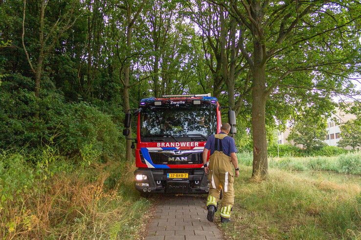 Voor tweede keer brand in twee dagen tijd op talud A28 in Kamperpoort - Foto: Ruben Meinten