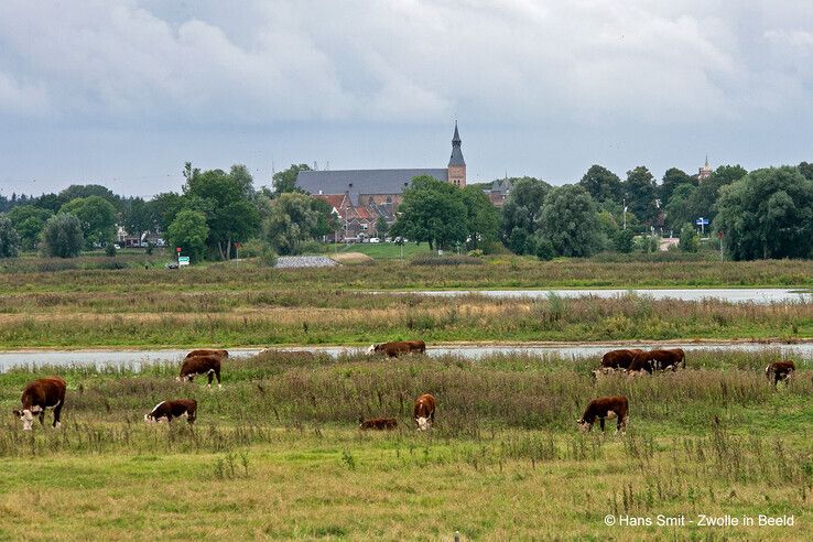 IJssellandschap met zicht op Hattem - Foto: Hans Smit