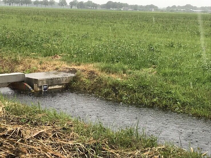 WDODelta: Regen zorgde voor lichte stijging grondwater in IJsseldelta en Salland - Foto: WDODelta