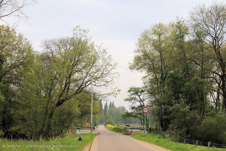 Brinkhoekweg - Foto: Ank Pot