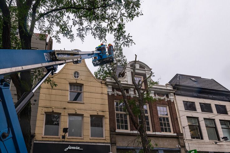 Boom valt tegen monumentale gevel in Diezerstraat, tientallen meldingen van stormschade in Zwolle - Foto: Peter Denekamp