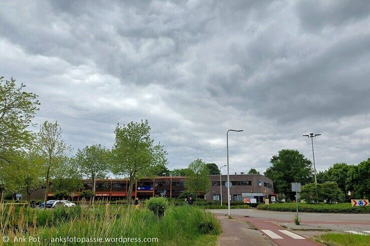 Rotonde Rijnlaan - Foto: Ank Pot