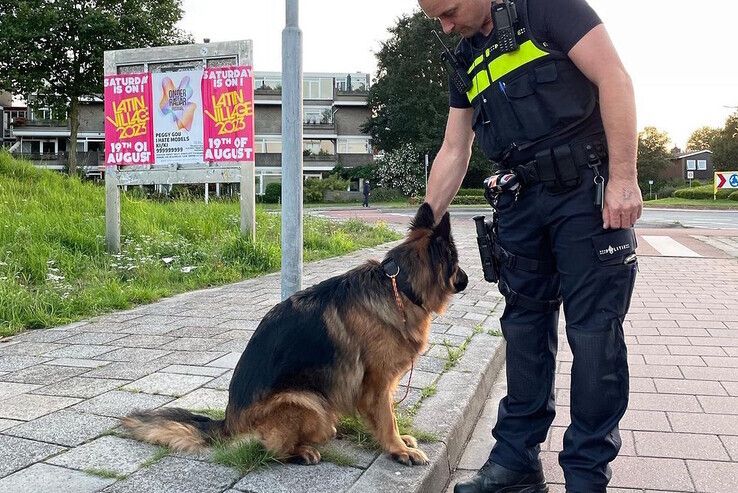 De politie trof de hond zaterdag aan bij winkelcentrum Aa-landen. - Foto: Politie Basisteam Zwolle