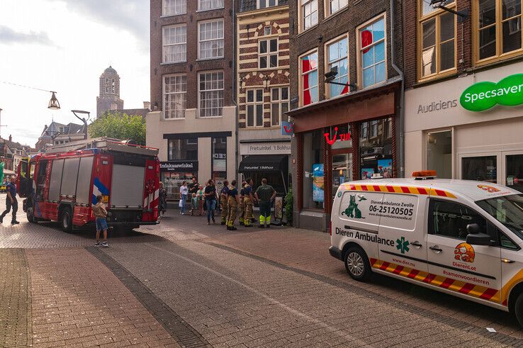 Vogels bevrijden bij de Frietwinkel is inmiddels een routineklus voor de brandweer en dierenambulance. - Foto: Peter Denekamp