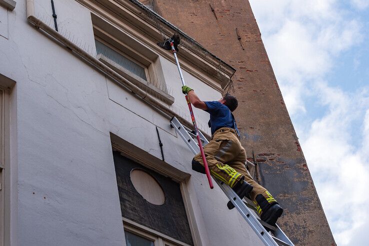 Een brandweerman klom via een ladder omhoog om de vogel te bevrijden - Foto: Peter Denekamp