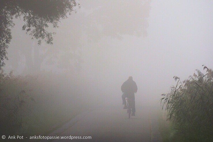 Brinkhoekweg - Foto: Ank Pot