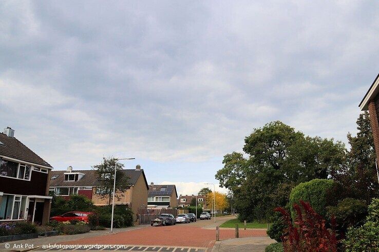 Scheldelaan - Foto: Ank Pot